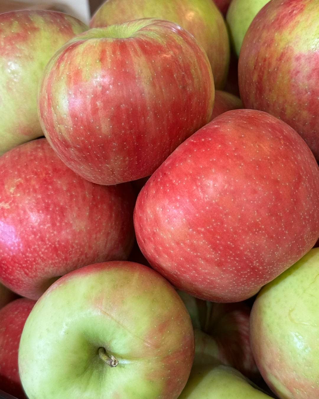 Adams Apple Orchard & Farm Market