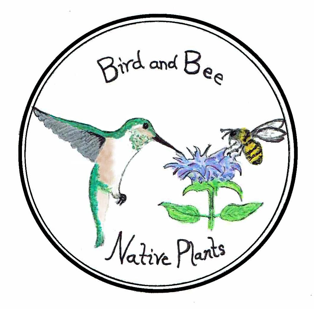 Bird and Bee Native Plants