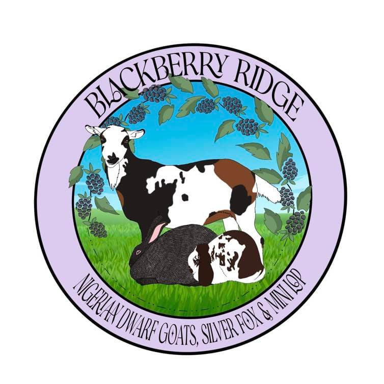 Blackberry Ridge