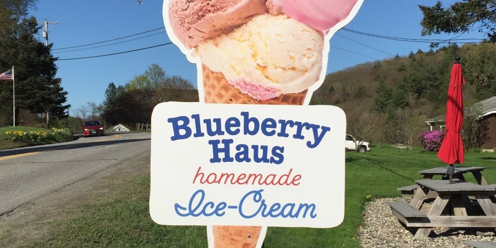 Blueberry Haus