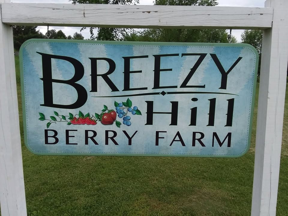 Breezy Hill Berry Farm