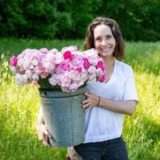 Brook and Blossom Farm