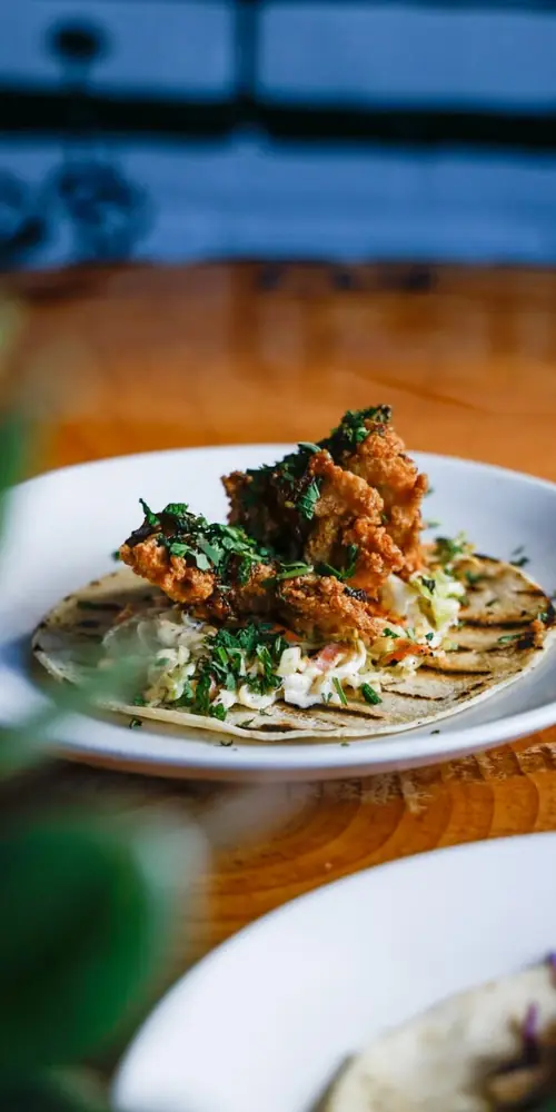 Taco Tuesday is Here 🌮 + 🍺 = ❤️
Every Tuesday at the taproom, we’re serving up Taco Tuesday Special