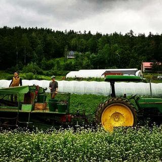 Burnt Rock Farm