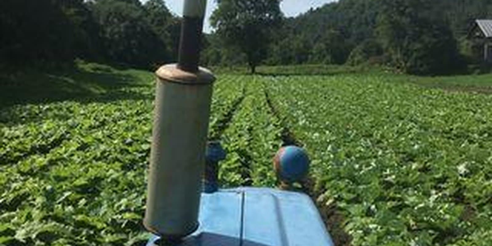 Cate Farm