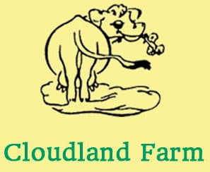 Cloudland Farm