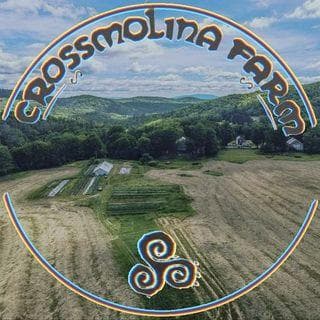 Crossmolina Farm