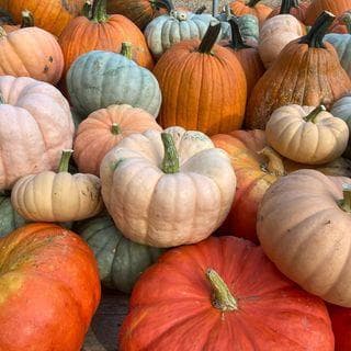 Elmer Farm