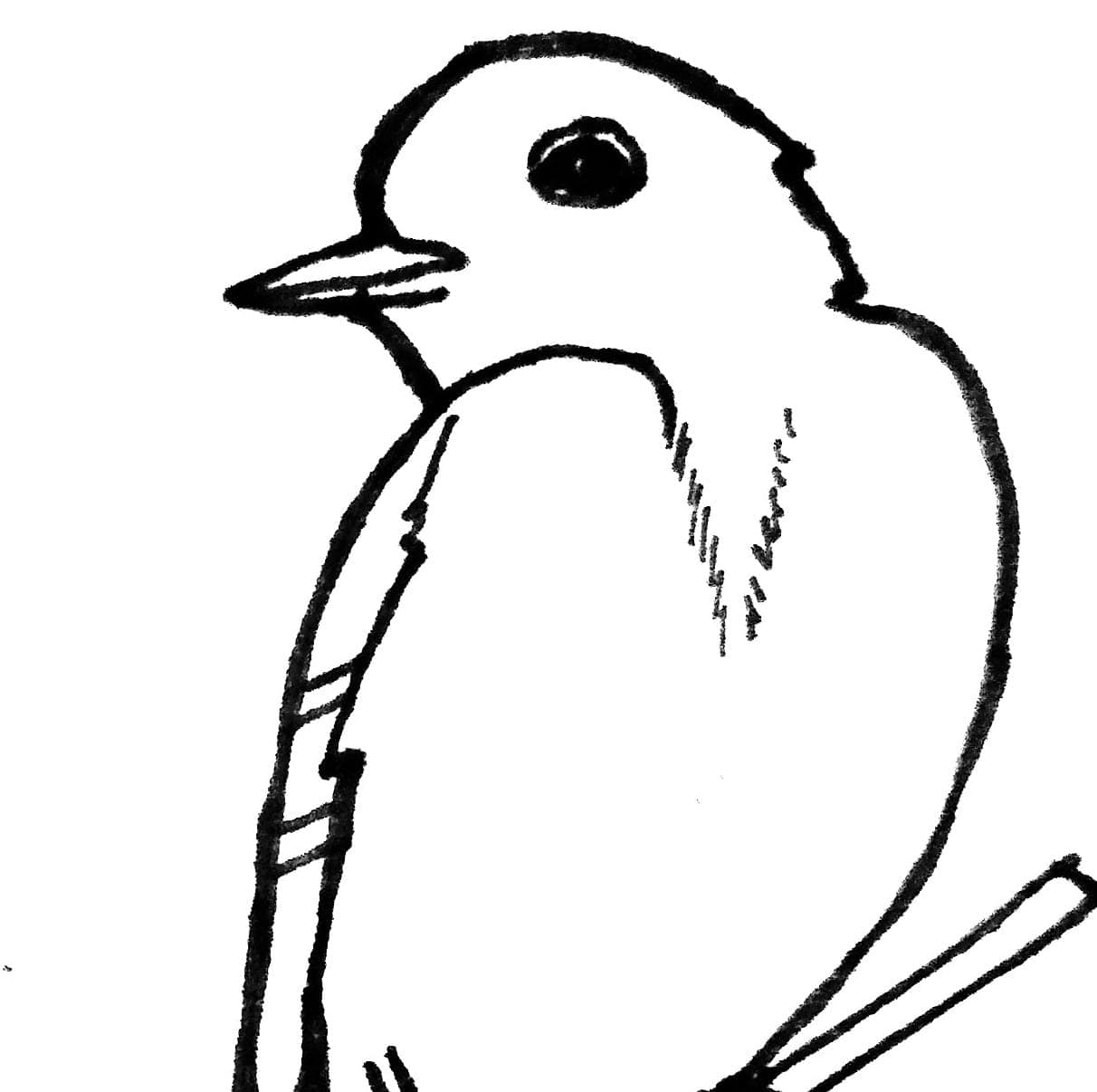 Flycatcher Farm