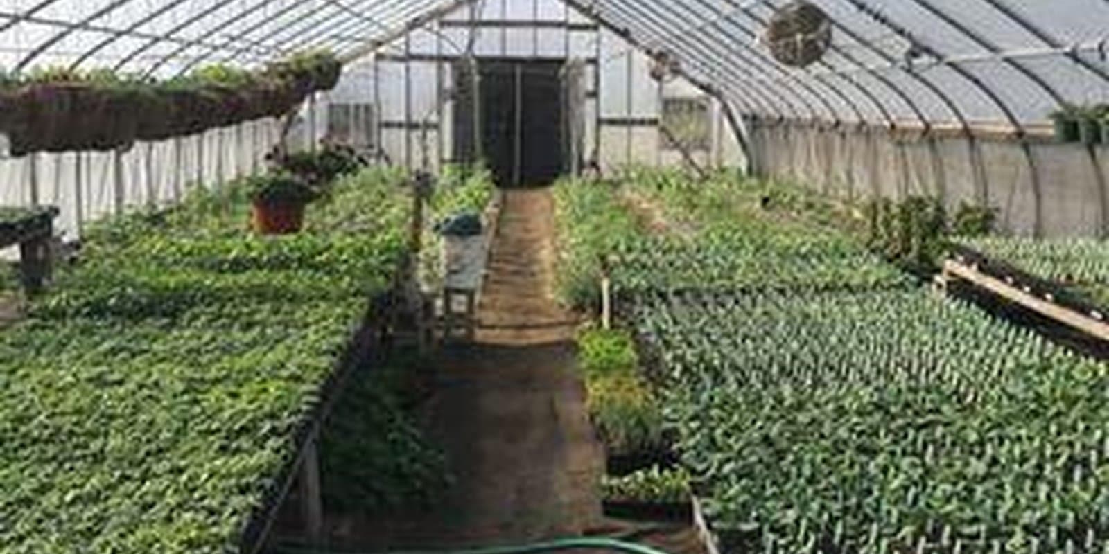Friends and Neighbors Organic Farm, LLC