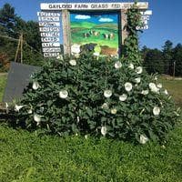 Gaylord Farmstand