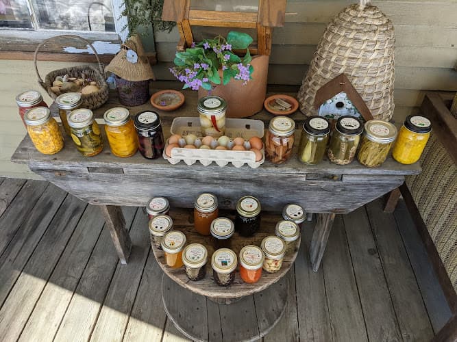 Gizmo's Pickled Plus