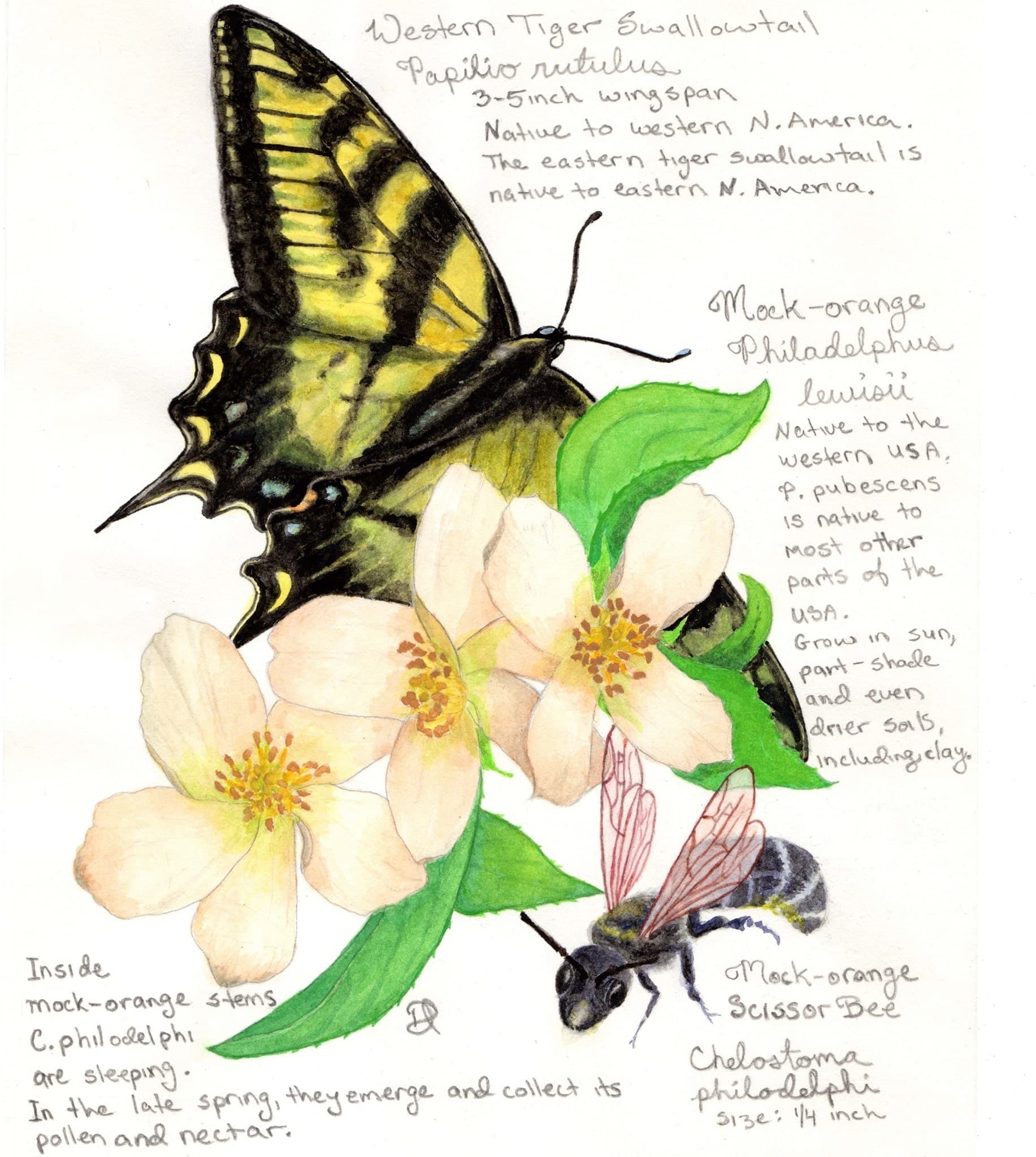 Green Blossom Painting