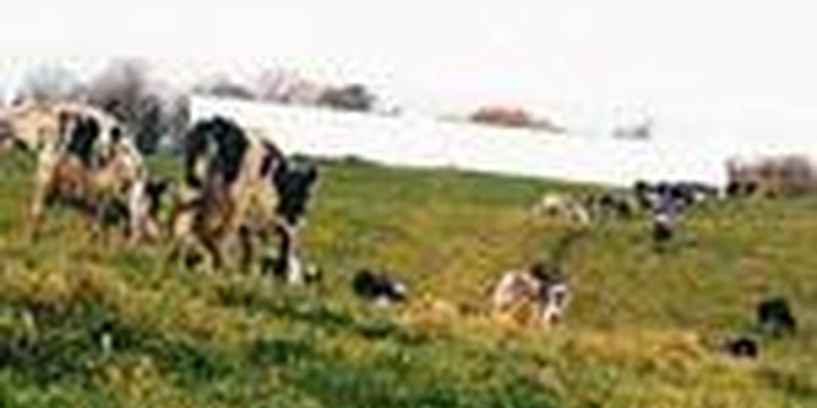 LeBlanc Family Farm
