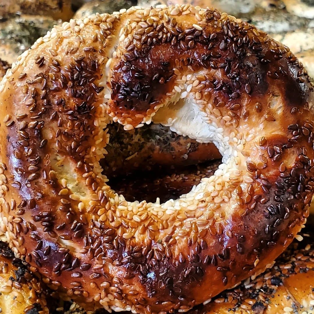 Myer's Bagels