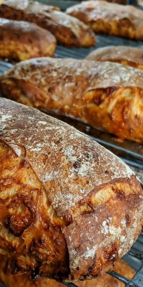 🌶🧀 Chile Cheese Ciabatta☀️ Fresh out of the oven & off to local stores shortly!
🔥Cheddar from our
