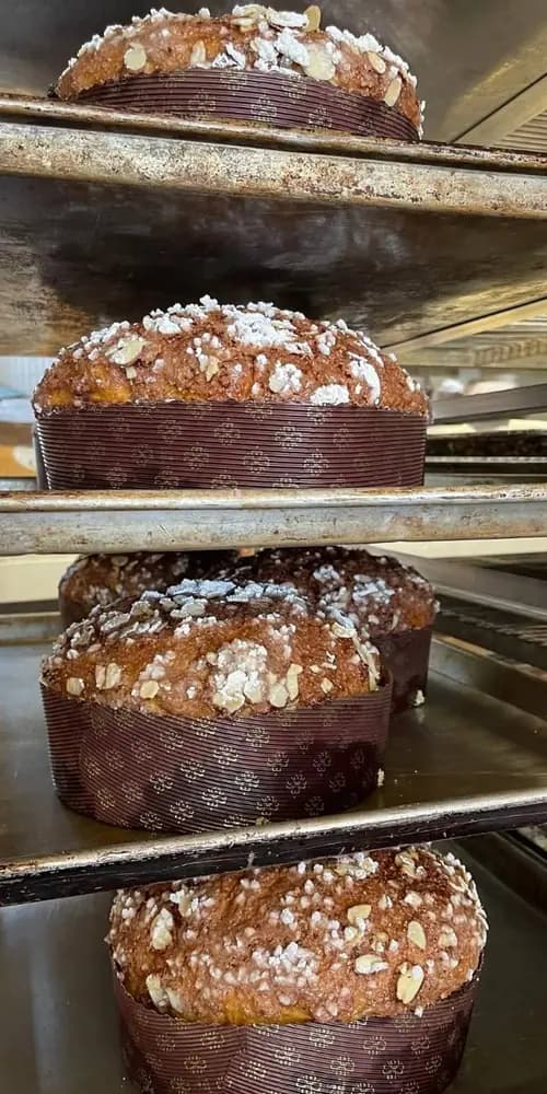 ✨️BRIOCHE✨️House-candied orange peel, rum-soaked currants, with an almond, hazelnut, and Valrhona co