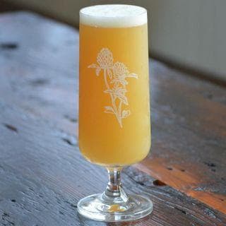 Red Clover Ale Co.