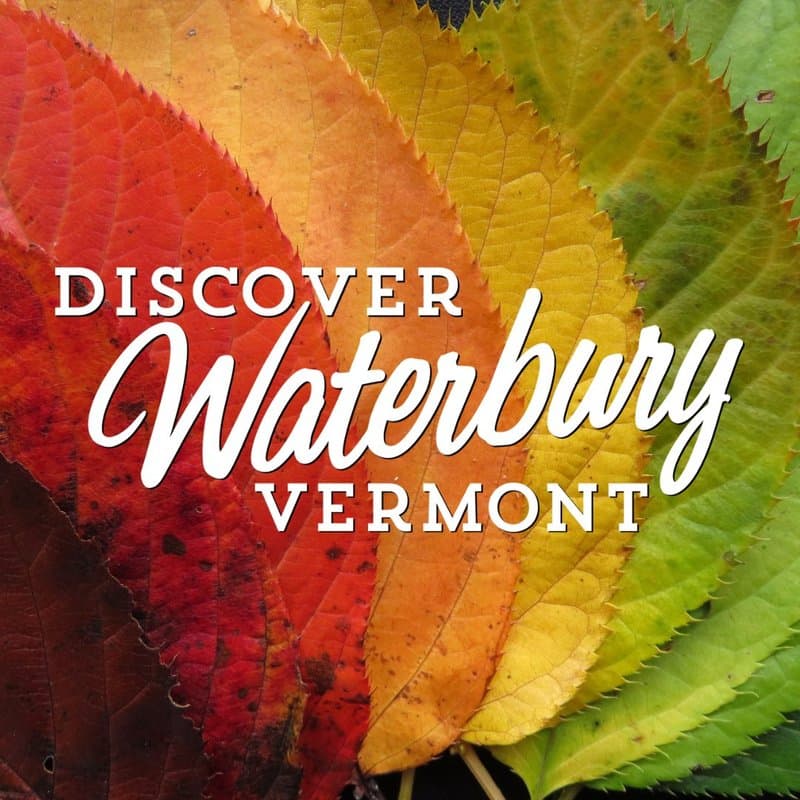 Revitalizing Waterbury (RW)