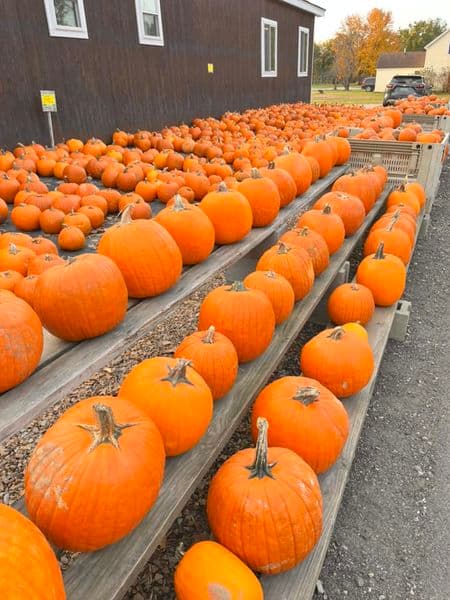 Sam Mazza's Farm Market