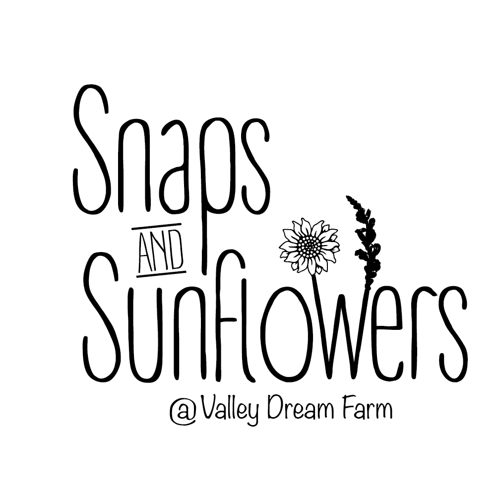Snaps and Sunflowers