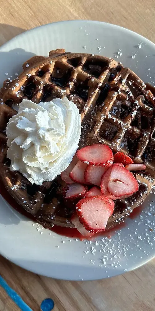 Saucy Strawberry-Chocolate Swirl Waffle with Whipped Cream 🍓🍫