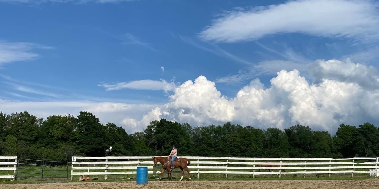Tail Feather Farm
