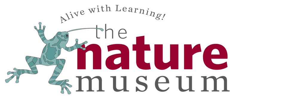 The Nature Museum