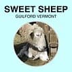 The Sheep Farm