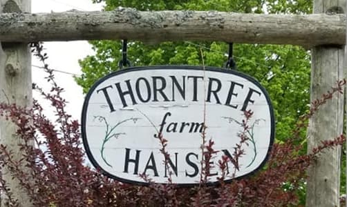Thorntree Farm
