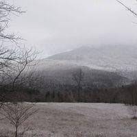 Twin Maple Sugar Works