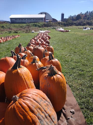 Whitcomb's Land of Pumpkins and Corn Maze