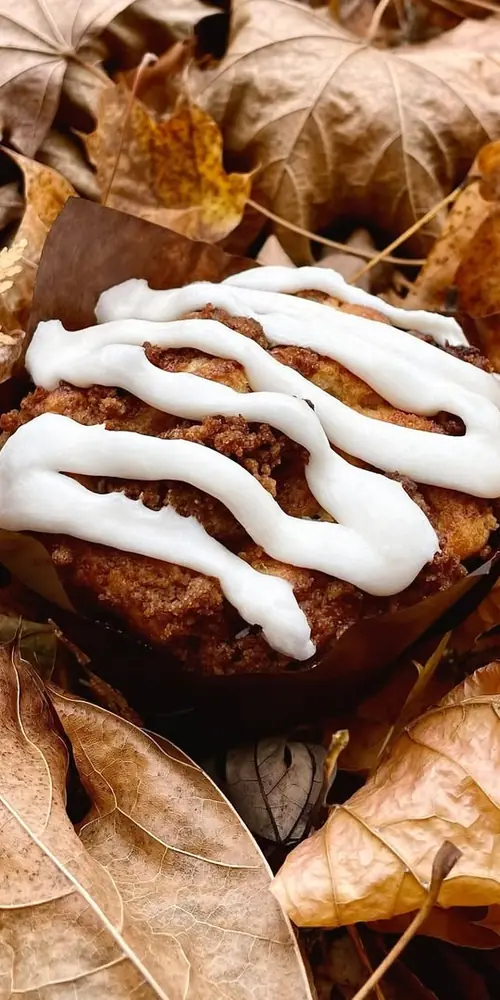 🍎 apple streusel muffin looking very autumnal, at home in the back yard 🍂