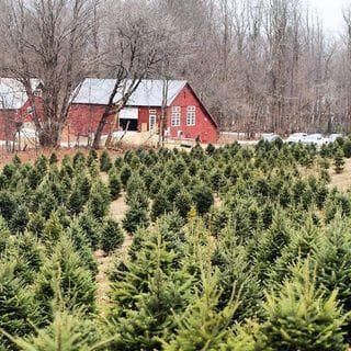 Winslow Farms